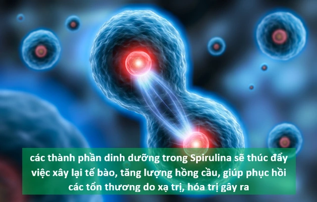 tac-dung-tao-xoan-spirulina-vnua-pharma-5