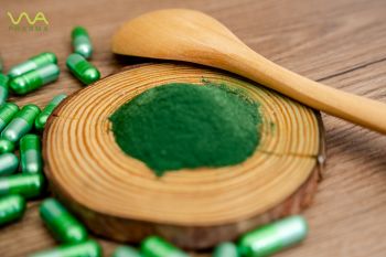 NHỮNG TÁC DỤNG NGẠC NHIÊN CỦA VI TẢO SPIRULINA TRONG PHÒNG VÀ ĐIỀU TRỊ UNG THƯ
