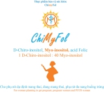 ChiMyFol